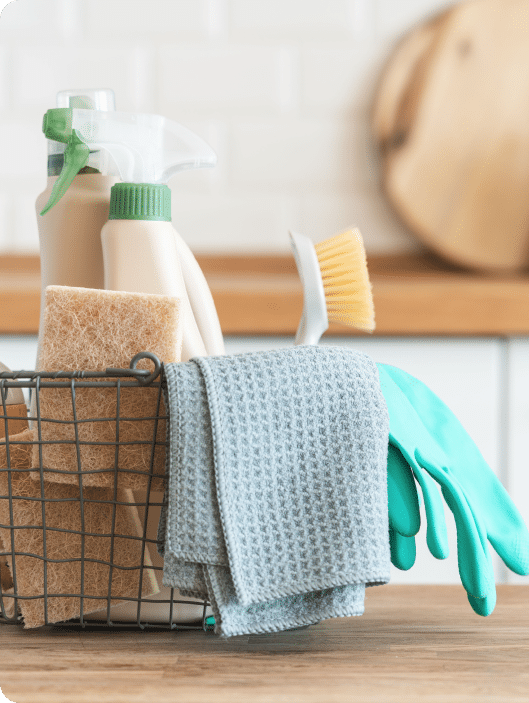 Essential Cleaning Tools